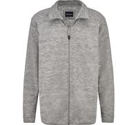Sweatjacke BABISTA "Fleecejacke FLOREVERTO", Herren, Gr. 48, grau (hellgrau), Obermaterial: 100% Polyester COOLMAX PES(Coolmax)., Sweatjacken Sweatjacke (42387824-48) hellgrau