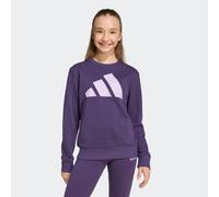 Sweatshirt ADIDAS SPORTSWEAR "JG BL FT SWT", Mädchen, Gr. 164, aurora plum, powder plum, Obermaterial: 55% Baumwolle, 36% Polyester, 9% Viskose, Rundhals, Sweatshirts Sweatshirt (44561362-164) aurora 