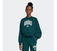 Sweatshirt ADIDAS SPORTSWEAR "JG CLGT FT SWT", Mädchen, Gr. 128, weiß (aurora ivy, weiß), Obermaterial: 70% Baumwolle, 30% Polyester, Rundhals, Sweatshirts Sweatshirt (22772022-128) aurora ivy, weiß