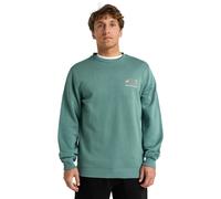 Sweatshirt BILLABONG "Foundation", Herren, Gr. L, sagebrush, Obermaterial: 55% Baumwolle, 25% Baumwolle, 20% Polyester;, Sweatshirts Sweatshirt (82030539-L)