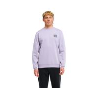 Sweatshirt BILLABONG "Foundation", Herren, Gr. XXL, lila ash, Obermaterial: 55% Baumwolle, 25% Baumwolle, 20% Polyester., Sweatshirts Sweatshirt (99878051-XXL) lila ash