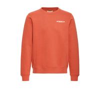 Sweatshirt BLEND "BHKEYAN GRAPHIC CREW SWEAT", Herren, Gr. L, orange (cinnabar), Sweatware, Obermaterial: 60% Baumwolle, 40% Polyester, unifarben, regular fit normal, Rundhals, Rippbündchen, Sweatshir