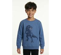 Sweatshirt BLUE SEVEN, Jungen, Gr. 104, jeansblau, Sweatware, Obermaterial: 80% Baumwolle, 20% Polyester, bedruckt, unifarben, Basic normal, Rundhals, Rippbündchen, Sweatshirts Sweatshirt, Baumwollmis