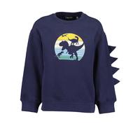 Sweatshirt BLUE SEVEN, Jungen, Gr. 110, blau (nachtblau), Sweatware, Obermaterial: 100% Baumwolle, bedruckt, unifarben, Basic normal, Rundhals, Rippbündchen, Sweatshirts Sweatshirt, Baumwolle (4178114