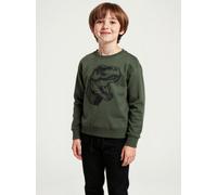 Sweatshirt BLUE SEVEN, Jungen, Gr. 110, schilf, Sweatware, Obermaterial: 80% Baumwolle, 20% Polyester, bedruckt, regular fit normal, Rundhals, Rippbündchen, Sweatshirts Sweatshirt, mit großem Dino-Fro