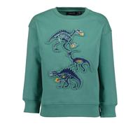Sweatshirt BLUE SEVEN, Jungen, Gr. 98, tanne, Sweatware, Obermaterial: 100% Baumwolle, bedruckt, unifarben, Basic normal, Rundhals, Rippbündchen, Sweatshirts Sweatshirt, Baumwolle (20505962-98) tanne