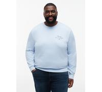 Sweatshirt "BT-SCRIPT STACK", Herren, Gr. 4XL, breezy blau, Sweatware, Obermaterial: 100% Baumwolle, TOMMY HILFIGER BIG & TALL, regular fit normal, Rundhals, Rippbündchen, Sweatshirts Sweatshirt, Groß