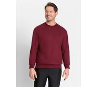 Sweatshirt CATAMARAN, Herren, Gr. 52/54, rot (bordeaux), 100% Baumwolle, unifarben, Rundhals, Sweatshirts Sweatshirt (97965007-52) bordeaux
