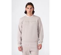 Sweatshirt CHAMPION "SPORTWEAR CREWNECK Standard Fit", Herren, Gr. L, beige (inb), Obermaterial: 70% Baumwolle, 30% Polyester, Sweatshirts Sweatshirt, Langarm-Design, aus Baumwolle und Polyester, Stan