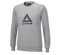 Sweatshirt Crew Team Grau Grau S