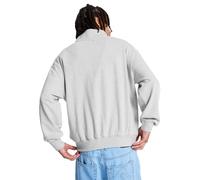 Sweatshirt DC SHOES "Flow Down", Herren, Gr. M, light erdgrau, Obermaterial: 75% Walkfrottier, 25% Walkfrottier;, Sweatshirts Sweatshirt (29298814-M) light erdgrau