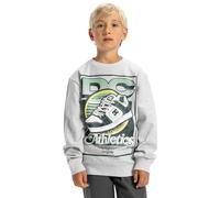Sweatshirt DC SHOES "Manteca Tribute", Jungen, Gr. 10(140-148cm), grau (light erdgrau), 55% Baumwolle, 25% Baumwolle, 20% Polyester, Sweatshirts Sweatshirt (34665431-10) light erdgrau