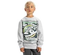 Sweatshirt DC SHOES "Manteca Tribute", Jungen, Gr. 16(165-172cm), grau (light erdgrau), Obermaterial: 55% Baumwolle, 25% Baumwolle, 20% Polyester;, Sweatshirts Sweatshirt (34665431-16) light erdgrau