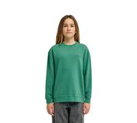Sweatshirt ELEMENT "Cornell 3.0", Jungen, Gr. 14(155-164cm), grün (fir), Obermaterial: 50% Walkfrottier, 30% Walkfrottier, 20% Microfaser;, Sweatshirts Sweatshirt (36567521-14) fir