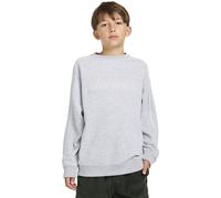 Sweatshirt ELEMENT "Cornell 90s", Jungen, Gr. 14(155-164cm), grau (mid grau heather), Obermaterial: 40% Microfaser, 30% Walkfrottier, 30% Walkfrottier;, Sweatshirts Sweatshirt (62696664-14) mid grau h