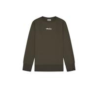 ellesse Herren Sweatshirt - KIAMTO 2 , Sweater, Rundhals, Langarm, Logo Dunkelgrün L