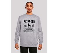 Sweatshirt F4NT4STIC "Reindeer Aviation Retro Weihnachten Sign", Herren, Gr. 5XL, grau (erdgrau), Obermaterial: 50% Baumwolle, 50% Polyester, regular fit, Rundhals, ohne Bündchen, Sweatshirts Sweatshi
