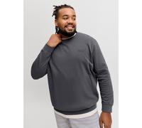 Jack & Jones Archive Graphic Plus Size Sweatshirt