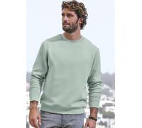 Sweatshirt JOHN DEVIN, Herren, Gr. L (52/54), grün (mint), Sweatware, Obermaterial: 52% Baumwolle, 47% Polyester, 1% Elasthan, unifarben, regular fit, Rundhals, angesetztes Bündchen, Sweatshirts Sweat