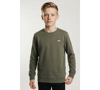 Sweatshirt LEVI'S KIDS "LVB MINI LOGO CREWNECK SWEAT", Jungen, Gr. 14 (164), grün (deep lichen grün), Sweatware, Obermaterial: 60% Baumwolle, 40% Polyester, unifarben, regular fit normal, Rundhals, Ri