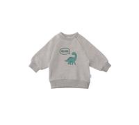 Sweatshirt LILIPUT "Dino", Mädchen, Gr. 74/80, grau, 80% Baumwolle, 20% Polyester, bedruckt, normal, Rundhals, Sweatshirts Sweatshirt, mit tollem Dino-Print (47186912-74) grau