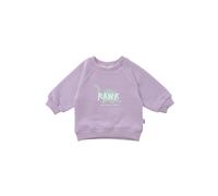 Sweatshirt LILIPUT "Dino Rawr", Mädchen, Gr. 134/140, lila (flieder), 80% Baumwolle, 20% Polyester, bedruckt, normal, Rundhals, Sweatshirts Sweatshirt, mit angenehmem Rundhalsausschnitt (99096561-134)