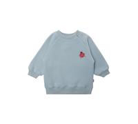 Sweatshirt LILIPUT "Marienkäfer", Mädchen, Gr. 134/140, blau, 80% Baumwolle, 20% Polyester, bedruckt, normal, Rundhals, Sweatshirts Sweatshirt, mit tollem Marienkäfer-Print (53546652-134) blau