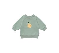 Sweatshirt LILIPUT "Zitrone", Mädchen, Gr. 98/104, grün, 80% Baumwolle, 20% Polyester, bedruckt, normal, Rundhals, Sweatshirts Sweatshirt, mit niedlichem Zitronen-Print (13776115-98) grün