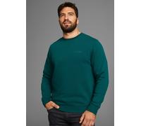 Sweatshirt MAN'S WORLD, Herren, Gr. M (48/50), grün (dunkelgrün), angeraute Sweatware, Obermaterial: 60% Baumwolle, 40% Polyester, unifarben, Basic, regular fit hüftbedeckend, Rundhals, Rippbündchen,
