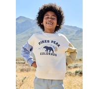 Sweatshirt mit farbigen Ärmeln für Jungen, Recycling-Polyester Gr. 92/98 von vertbaudet