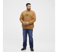 Sweatshirt mit Stickerei Beige 6XL/34/