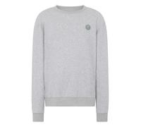 Sweatshirt PLEIN SPORT "Tiger", Herren, Gr. 3XL, 10, grau, Stoff: 82% Baumwolle, 18% Polyester, Sweatshirts Sweatshirt (16007321-XXXL) 10, grau