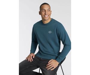 Sweatshirt REPLAY, Herren, Gr. L, grün (atlantic grün), Sweatware, Obermaterial: 100% Baumwolle, unifarben, regular fit normal, Rundhals, Rippbündchen, Sweatshirts Sweatshirt, in Baumwoll-Qualität (87