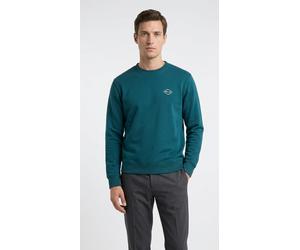 Sweatshirt REPLAY, Herren, Gr. M, atlantic grün, Sweatware, Obermaterial: 100% Baumwolle, unifarben, regular fit normal, Rundhals, Rippbündchen, Sweatshirts Sweatshirt, in Baumwoll-Qualität (87820512-