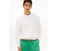 Sweatshirt TOMMY JEANS "TJM REG LINEAR CREW EXT", Herren, Gr. M, ancient weiß, bahama grün, Sweatware, Obermaterial: 80% Baumwolle, 20% Polyester, normal hüftlang, Rundhals, Rippbündchen, Sweatshirts