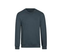 Sweatshirt TRIGEMA "TRIGEMA Sweatshirt", Damen, Gr. XXL, grau (anthrazit), Sweatware, 70% Baumwolle, 30% Polyester, Basic, lang, Rundhals, Sweatshirts Sweatshirt (69308339-XXL) anthrazit