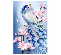 SWECOMZE DIY 5d Diamant Painting Full Crystal Strass Stickerei Painting Diamond Dekoration für Home Wall Décor (B, 40 * 60cm)