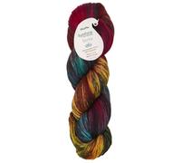 Symfonie Terra variegated 1x100g - VR2027 Harvest Vine