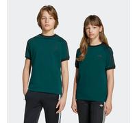 T-Shirt ADIDAS ORIGINALS "3 STRIPE TEE", Jungen, Gr. 170, aurora ivy, Obermaterial: 100% Baumwolle, Shirts T-Shirt, sportlicher Stil, mit kurzen Ärmeln, für Kinder, aus Baumwolle (97323825-170) aurora