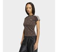 CALI T-SHIRT, SCHLANGENPRINT Earth Strata / Aurora Coffee XL