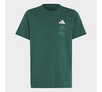 T-Shirt ADIDAS SPORTSWEAR "ADIDAS MINECRAFT", Jungen, Gr. 164, collegiate grün, Obermaterial: 100% Baumwolle, Rundhals, Shirts T-Shirt (13386603-164) collegiate grün