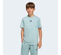 T-Shirt ADIDAS SPORTSWEAR "B SJ T", Jungen, Gr. 164, tactile grün, Obermaterial: 100% Baumwolle, Rundhals, Shirts T-Shirt (48888268-164) tactile grün