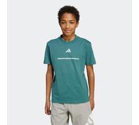 T-Shirt ADIDAS SPORTSWEAR "B SJ T", Jungen, Gr. 176, preloved teal, Obermaterial: 100% Baumwolle, Rundhals, Shirts T-Shirt (18050868-176) preloved teal