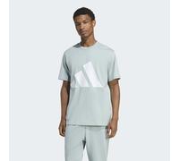 T-Shirt ADIDAS SPORTSWEAR "ESSENTIALS BIG LOGO", Herren, Gr. M, wonder sage, weiß, Obermaterial: 100% Baumwolle, normal, Rundhals, Shirts T-Shirt, klassische Silhouette, mit Rundhalsausschnitt (839272