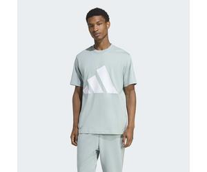 T-Shirt ADIDAS SPORTSWEAR "ESSENTIALS BIG LOGO", Herren, Gr. S, wonder sage, weiß, Obermaterial: 100% Baumwolle, normal, Rundhals, Shirts T-Shirt, klassische Silhouette, mit Rundhalsausschnitt (839272