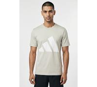 T-Shirt ADIDAS SPORTSWEAR "ESSENTIALS BIG LOGO", Herren, Gr. XXL, grau (wonder alumina, weiß), Obermaterial: 100% Baumwolle, normal, Rundhals, Shirts T-Shirt, klassische Silhouette, mit Rundhalsaussch