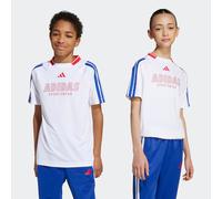 adidas House of Tiro T-Shirt Kinder JW7418 - white/semi lucid blue/pure ruby 176