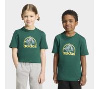 T-Shirt ADIDAS SPORTSWEAR "LK FOOD T", Jungen, Gr. 140, grün (collegiate grün), Obermaterial: 100% Baumwolle, Shirts T-Shirt, für Kinder, im sportlichen Stil, Basic-Design, aus Baumwolle (58506931-140