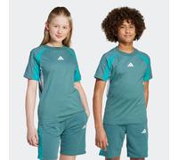T-Shirt ADIDAS SPORTSWEAR "SEASONAL ESSENTIALS COLORBLOCK KIDS", Jungen, Gr. 164, weiß (preloved teal, pure teal, weiß), Obermaterial: 100% Baumwolle, normal, Rundhals, Shirts T-Shirt (29178237-164) p