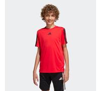 T-Shirt ADIDAS SPORTSWEAR "TRAIN ESSENTIALS 3-STREIFEN KIDS", Mädchen, Gr. 140, rot (pure ruby, schwarz), Obermaterial: 100% Polyester, Rundhals, Shirts T-Shirt (76653752-140) pure ruby, schwarz